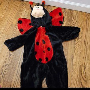 Ladybug costume
